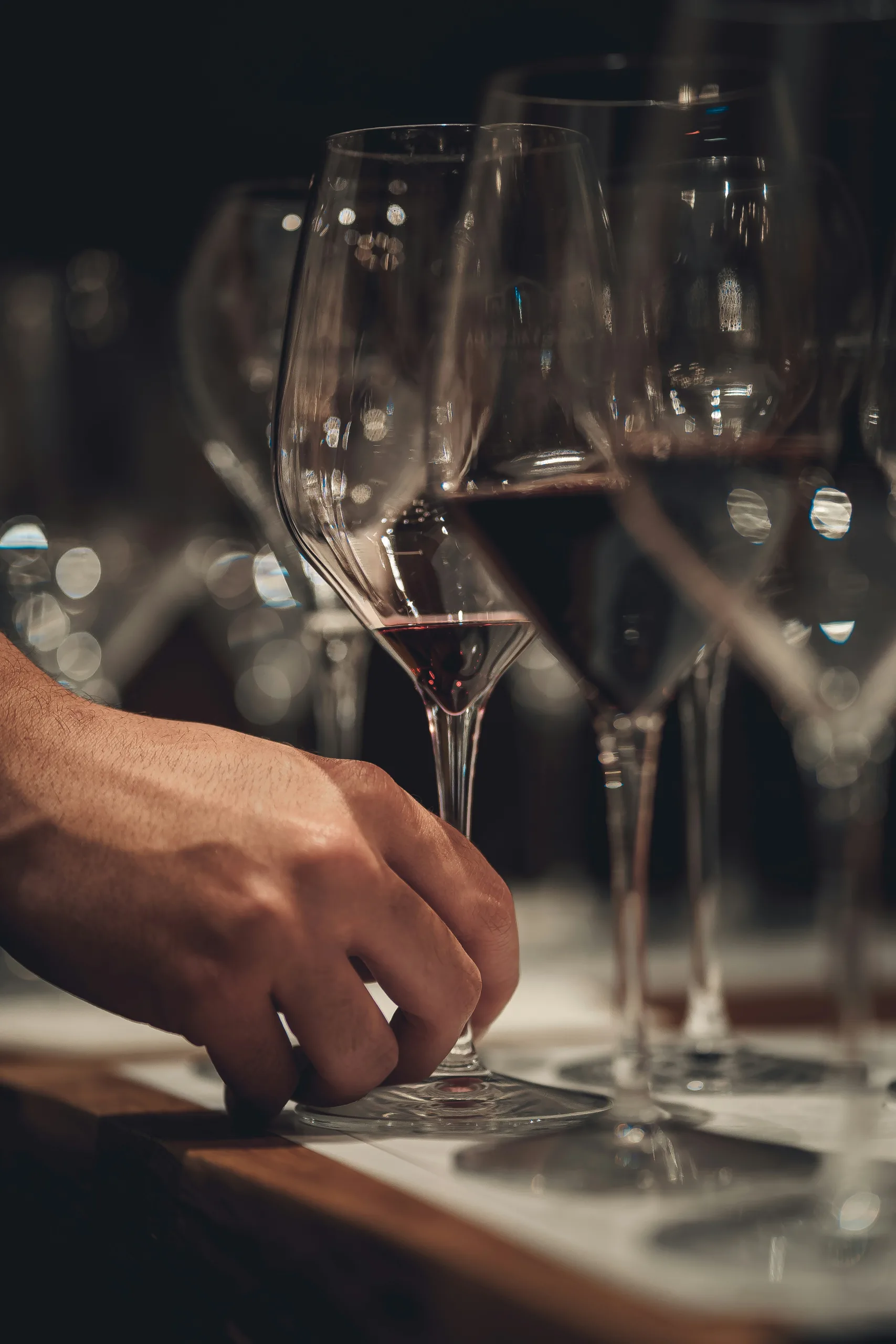 Gastronomy in Pollensa: Flavors You Can’t Miss